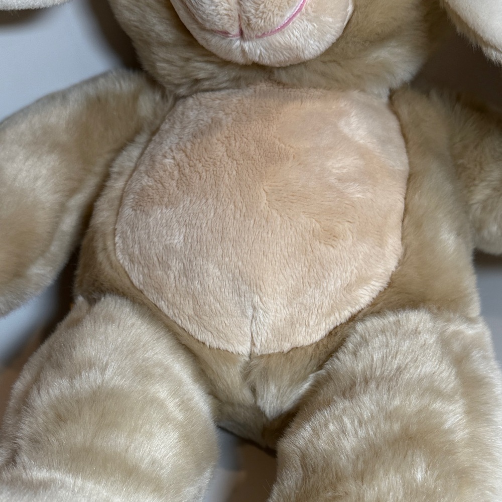 Build-A-Bear Workshop Tan Bunny Plush - Picture 12 of 12